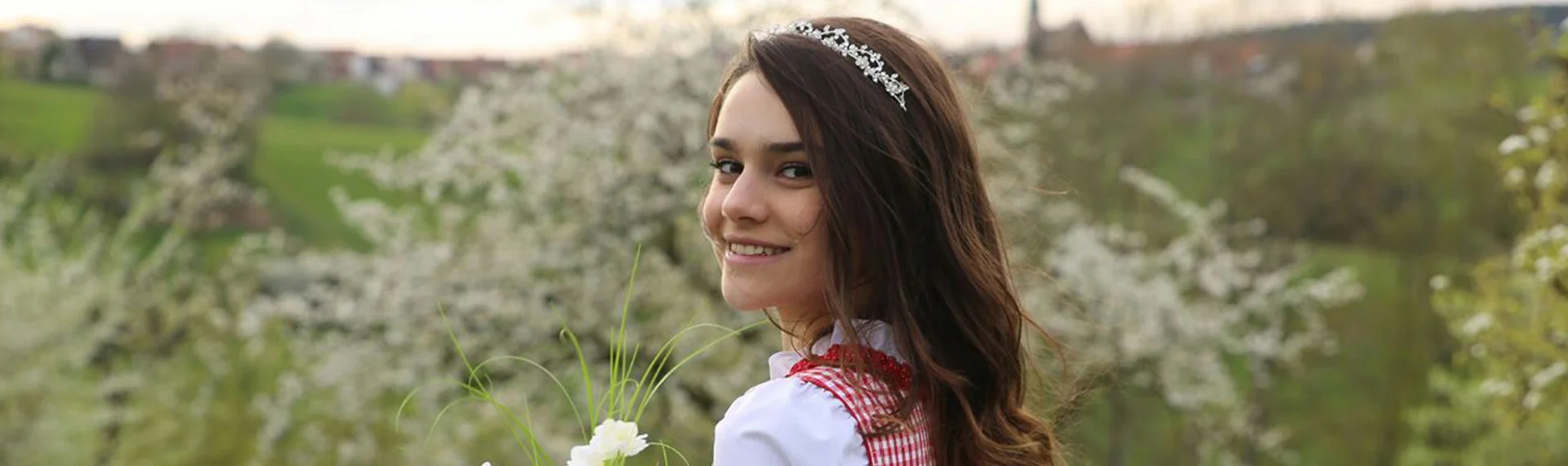 Bannerbild