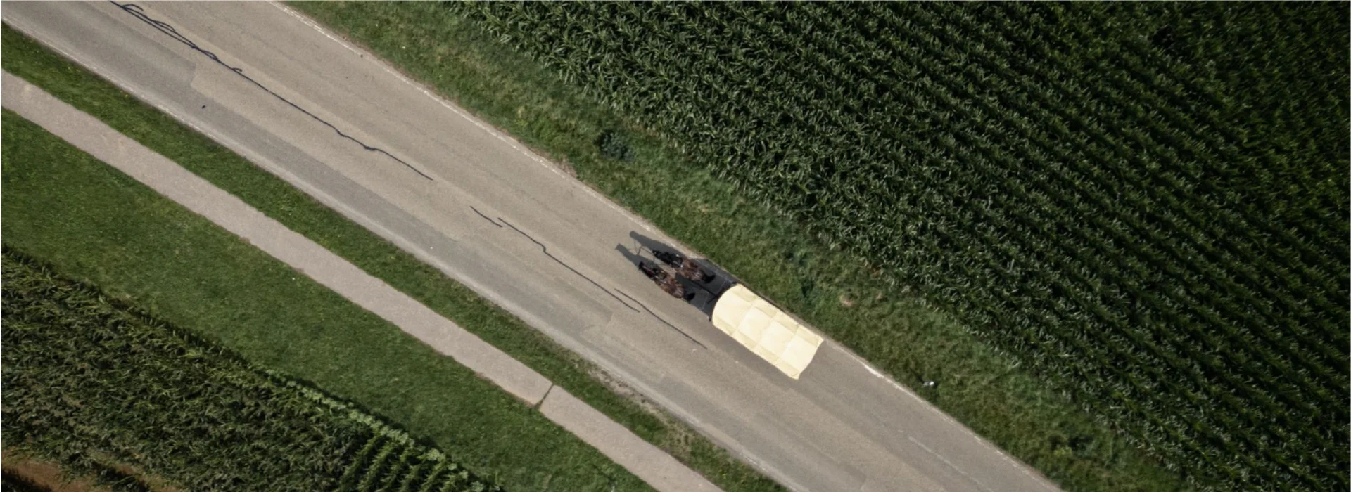 Bannerbild
