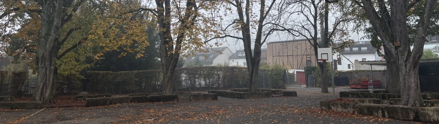 SH nebel 2