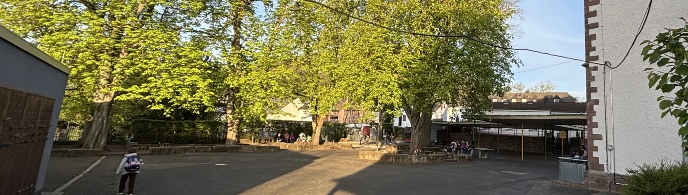 frühsommer morgen SH 2
