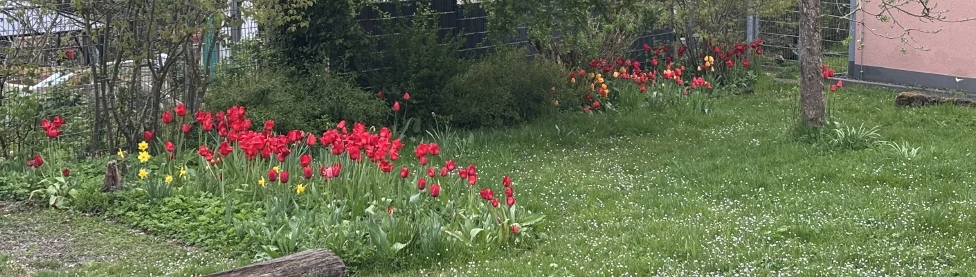 garten blumen 1