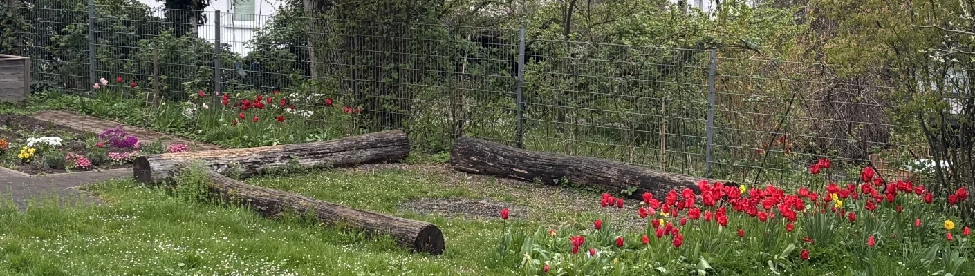 garten blumen 2
