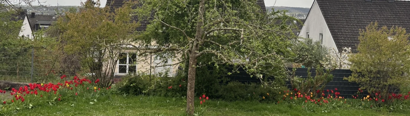 garten blaum blumen