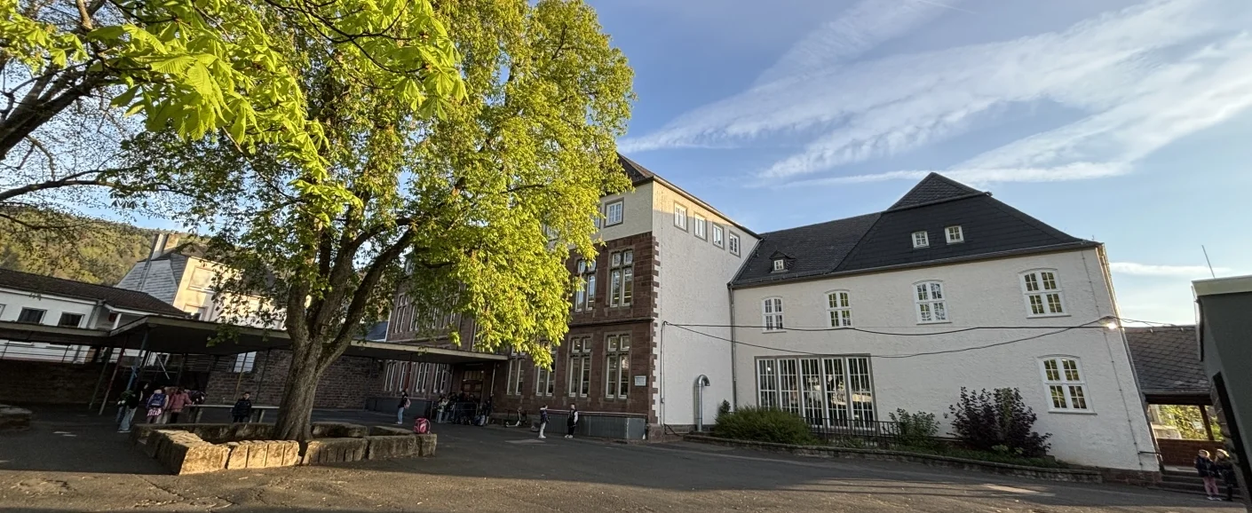 frühsommer morgen SH start