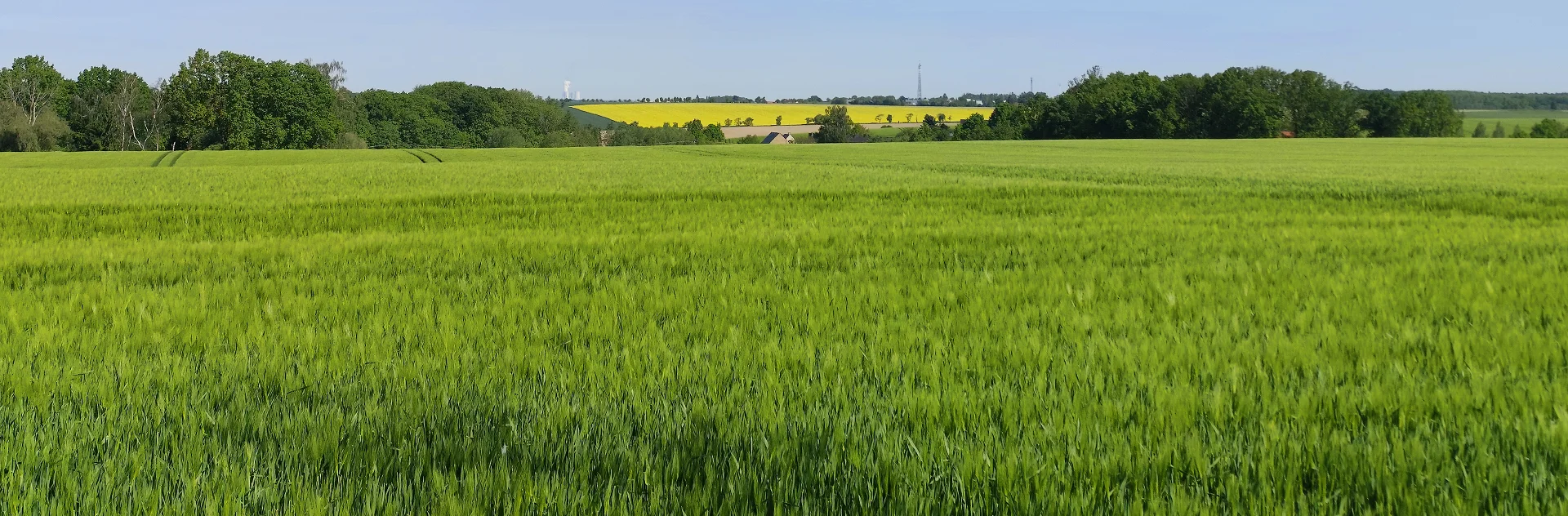 Gösdorf nach Zumroda, Mai 2026