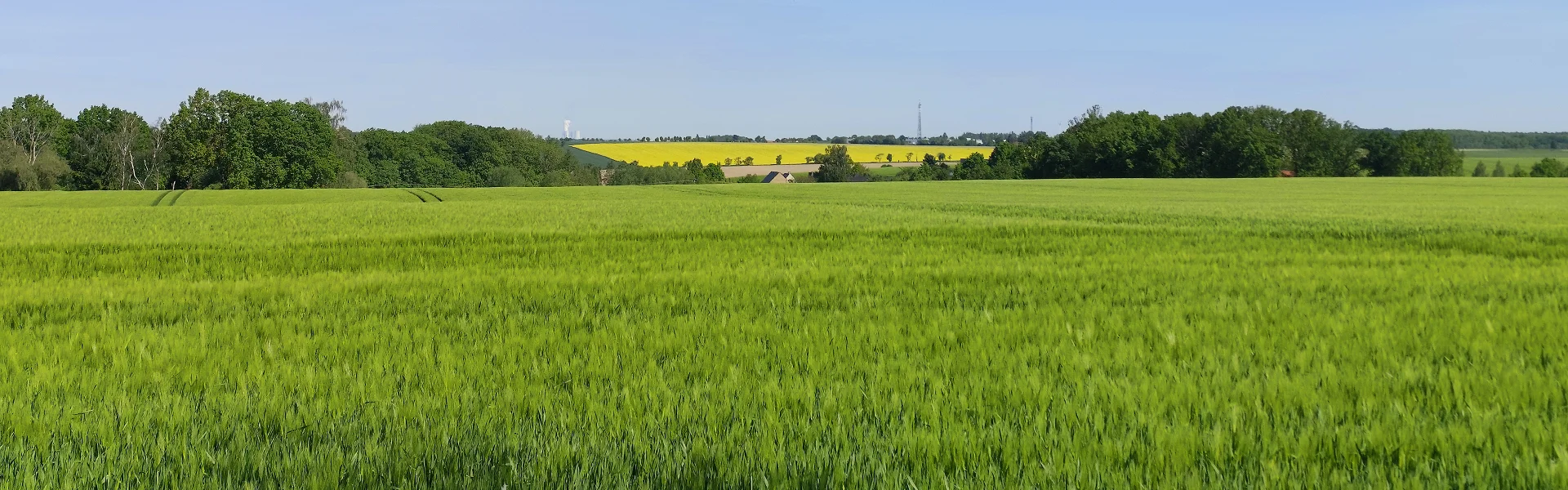 Gösdorf nach Zumroda, Mai 2026