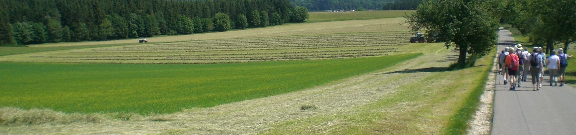 Bannerbild