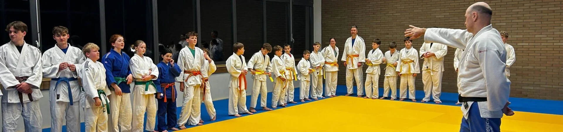 Bannerbild