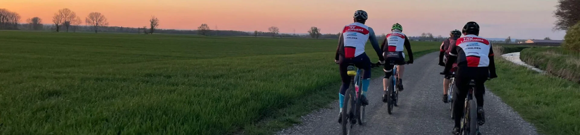 Bannerbild