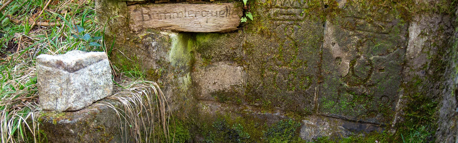Bannerbild