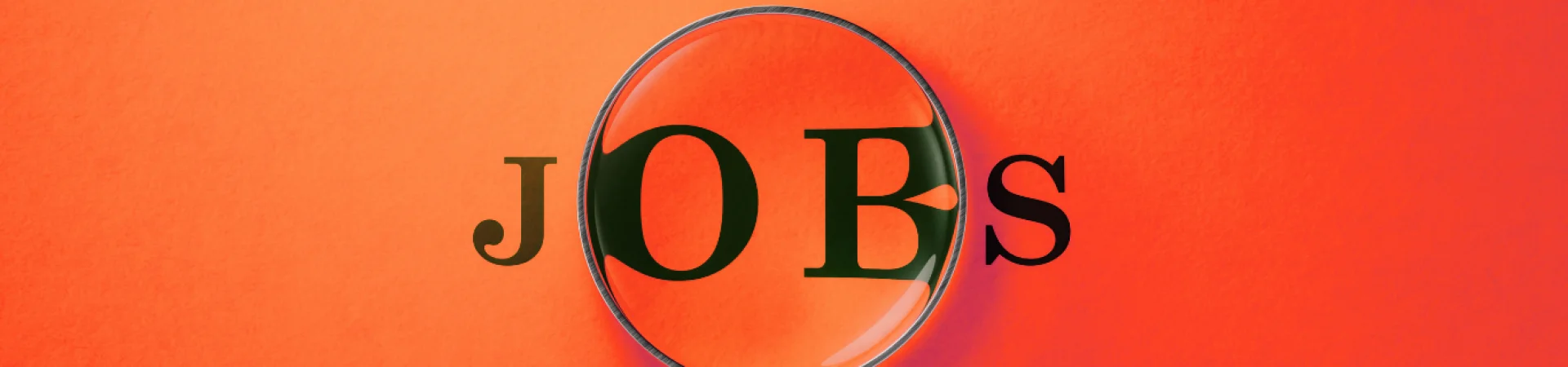 Bannerbild
