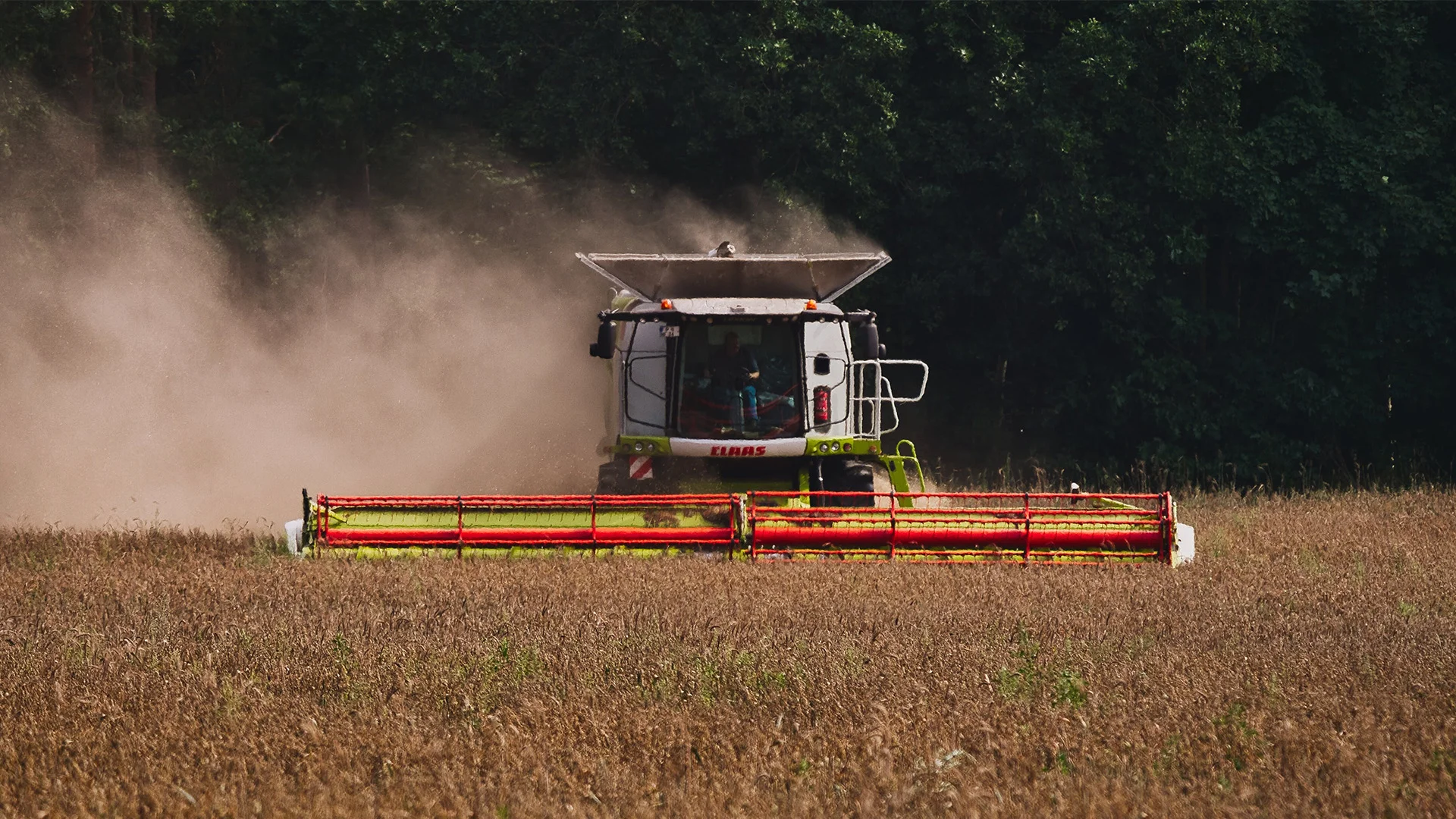 Bannerbild