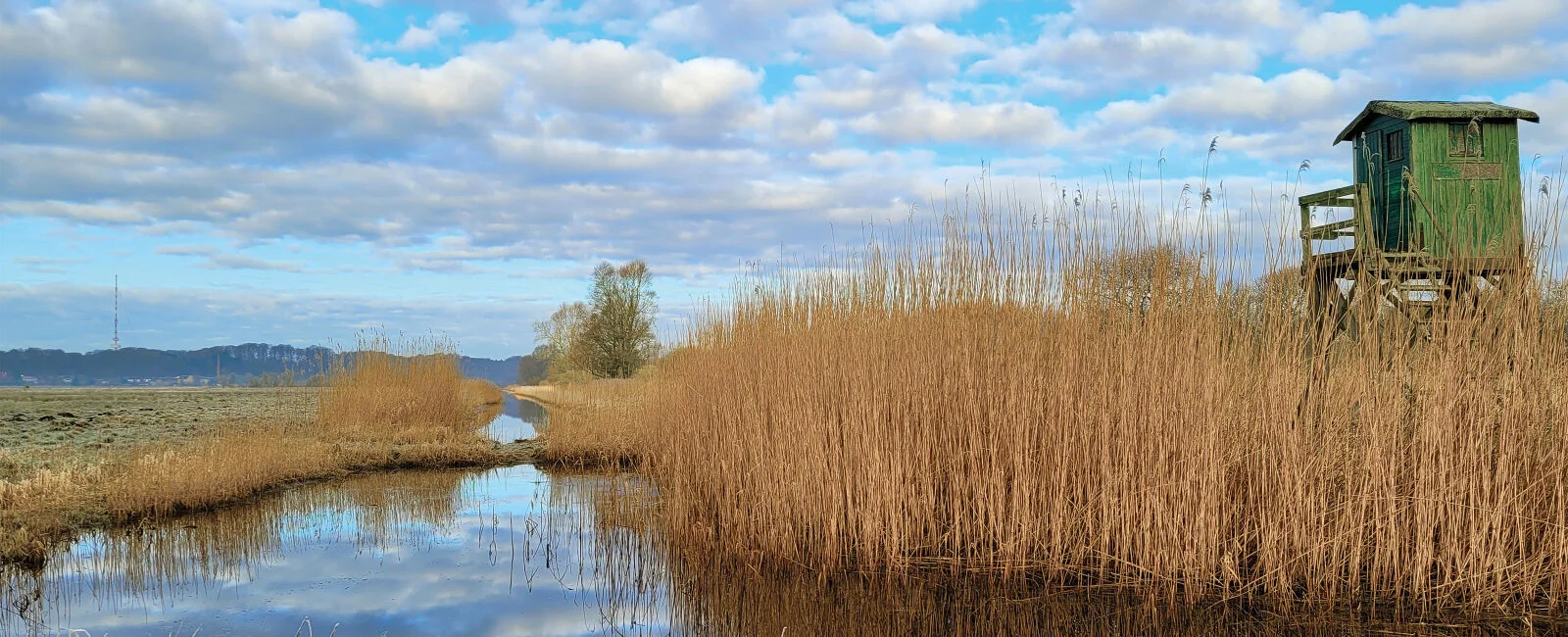 Schmaler Wasserlauf zwischen hohen Schilfbeständen in einer offenen Feuchtlandschaft. Das Wasser spiegelt den wolkenreichen Himmel. Im Vordergrund sind mit Raureif bedeckte Gräser zu sehen. Rechts steht ein grüner Hochsitz am Rand des Schilfs. Die Szene w