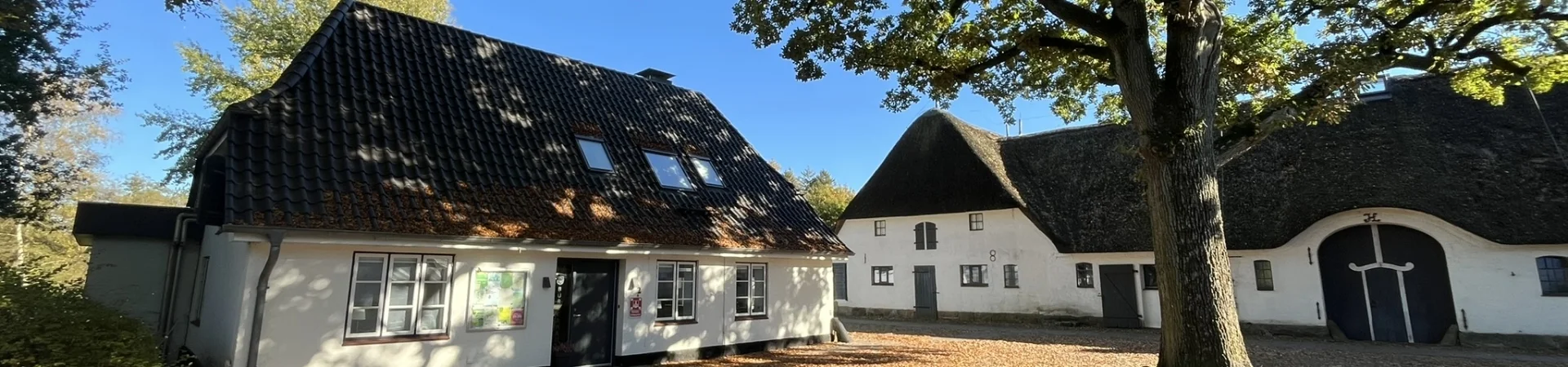 Bürgerhaus_von Martina M._03.06.26
