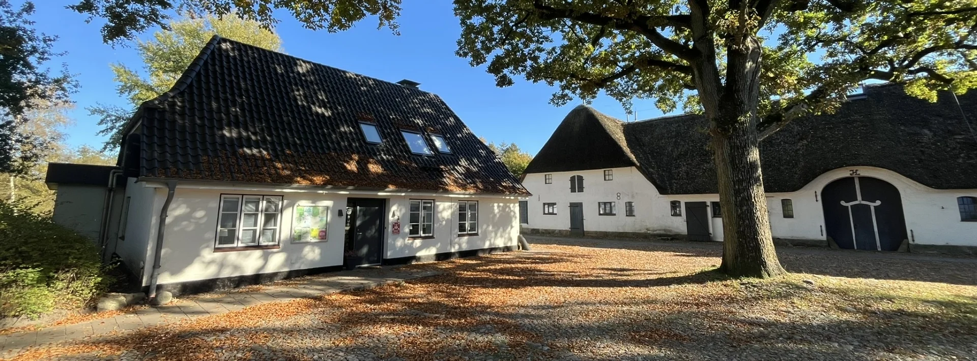 Bürgerhaus_von Martina M._03.06.26