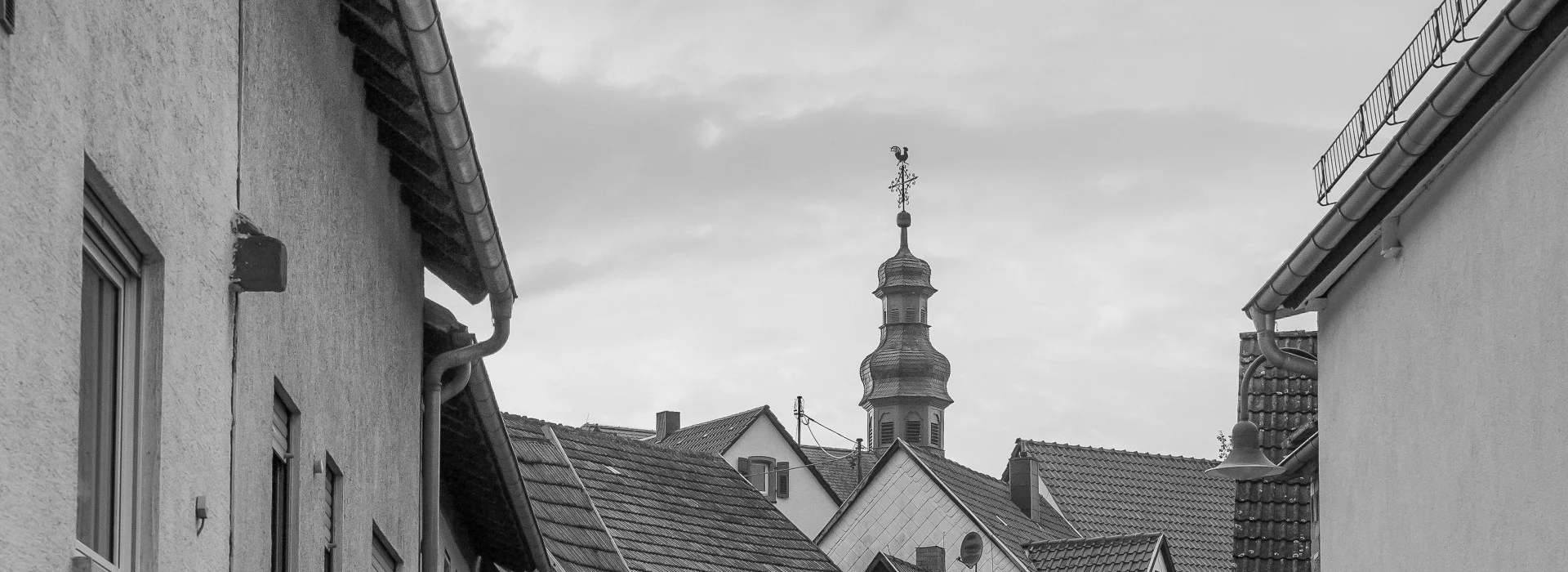 Bannerbild
