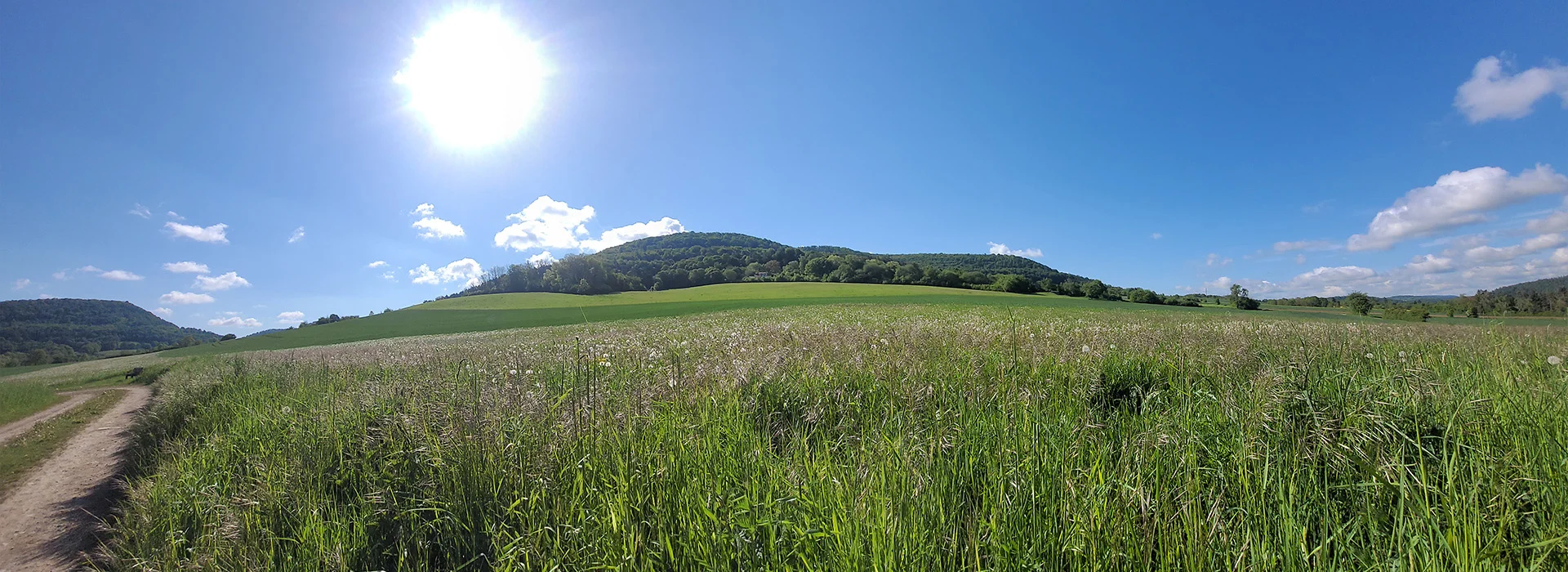 Bannerbild