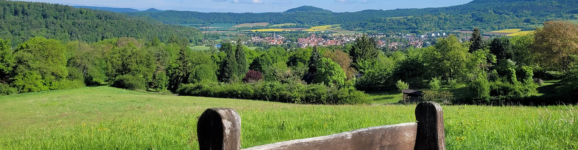 Bannerbild