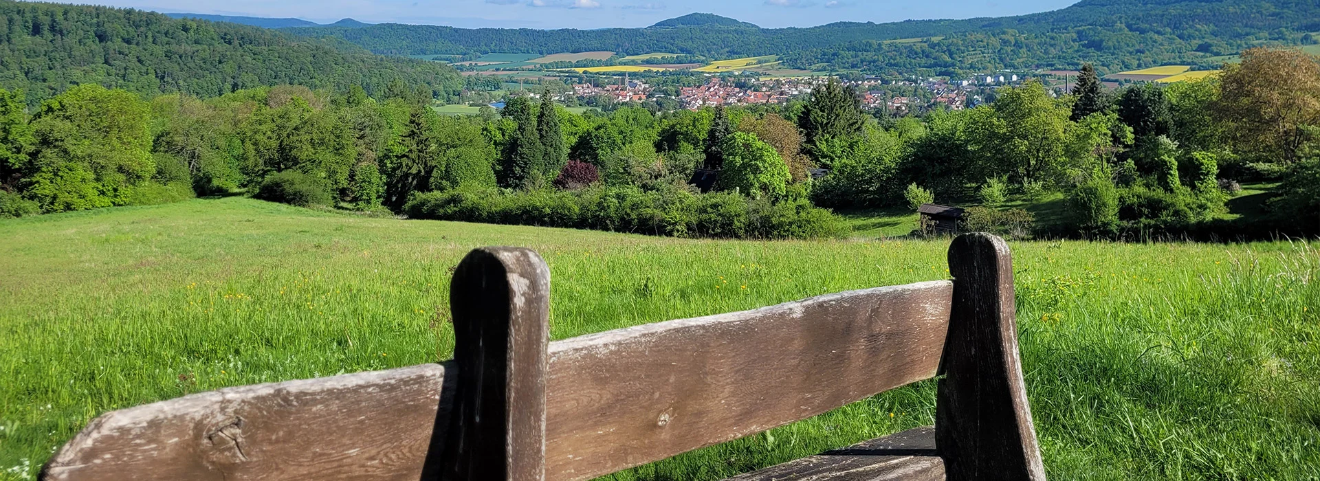 Bannerbild