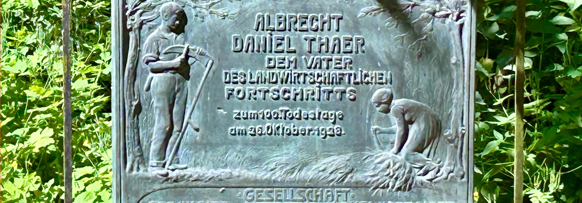 Bannerbild