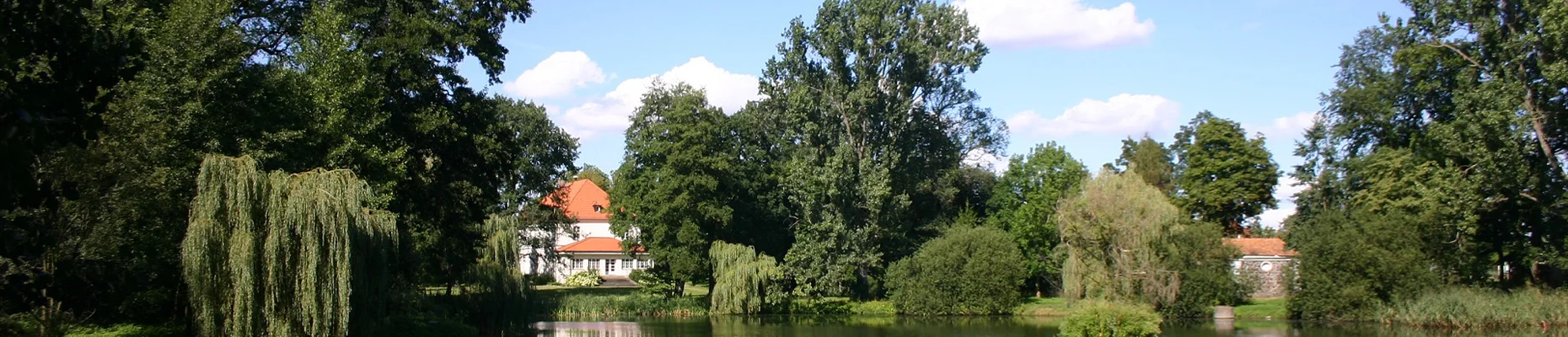 Bannerbild