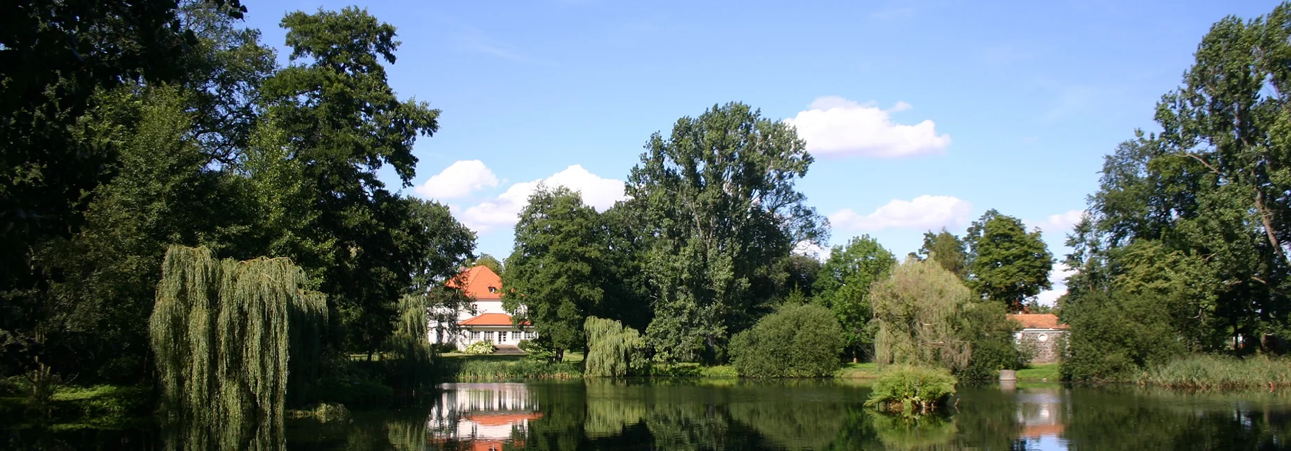 Bannerbild