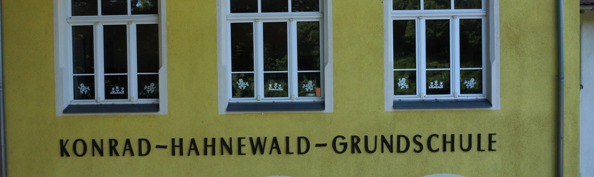 Bannerbild