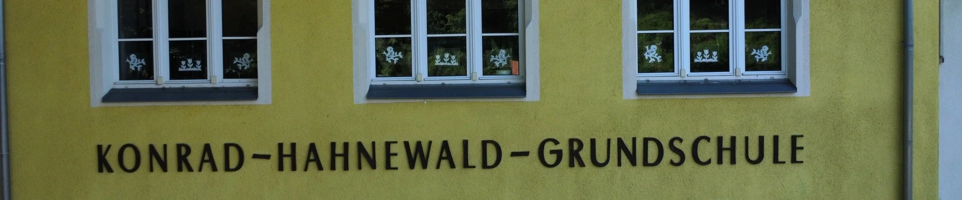 Bannerbild