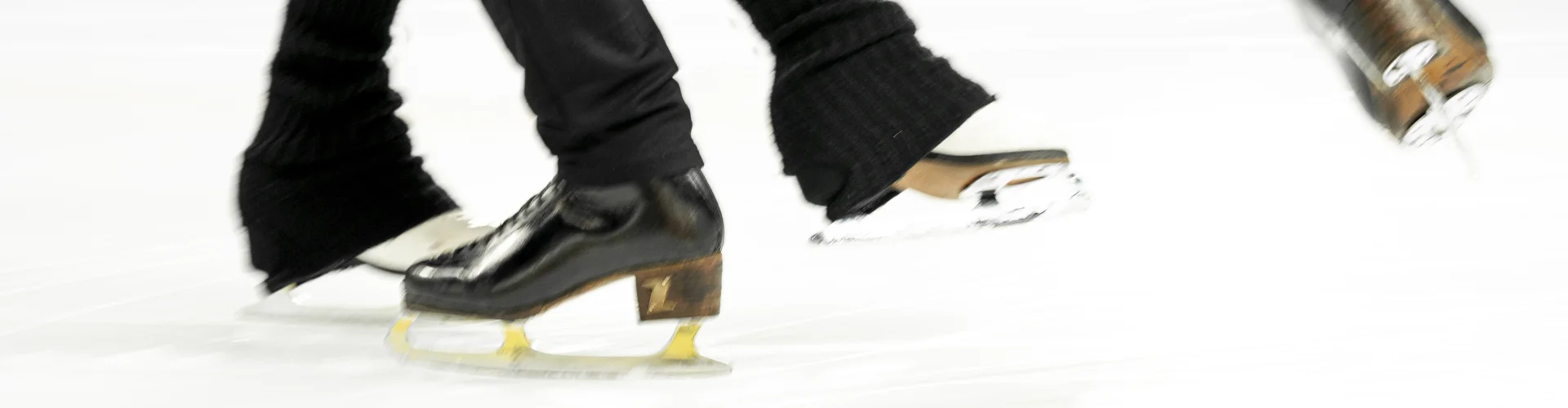 Bannerbild