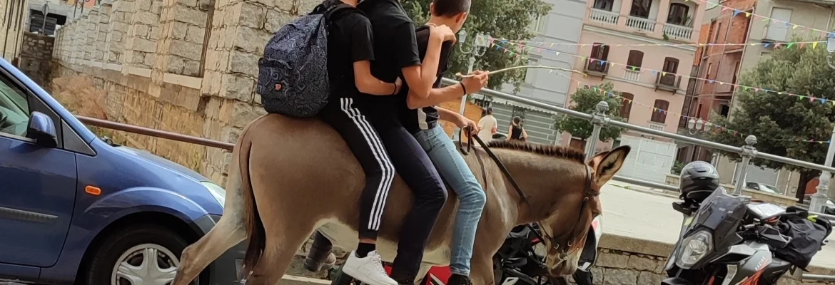 Bannerbild
