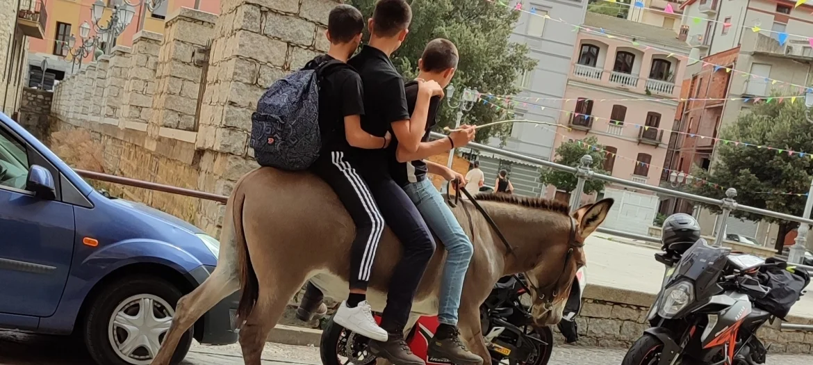 Bannerbild