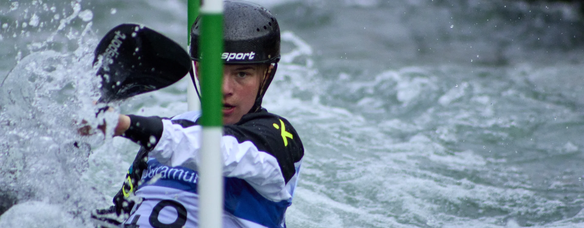 Bannerbild