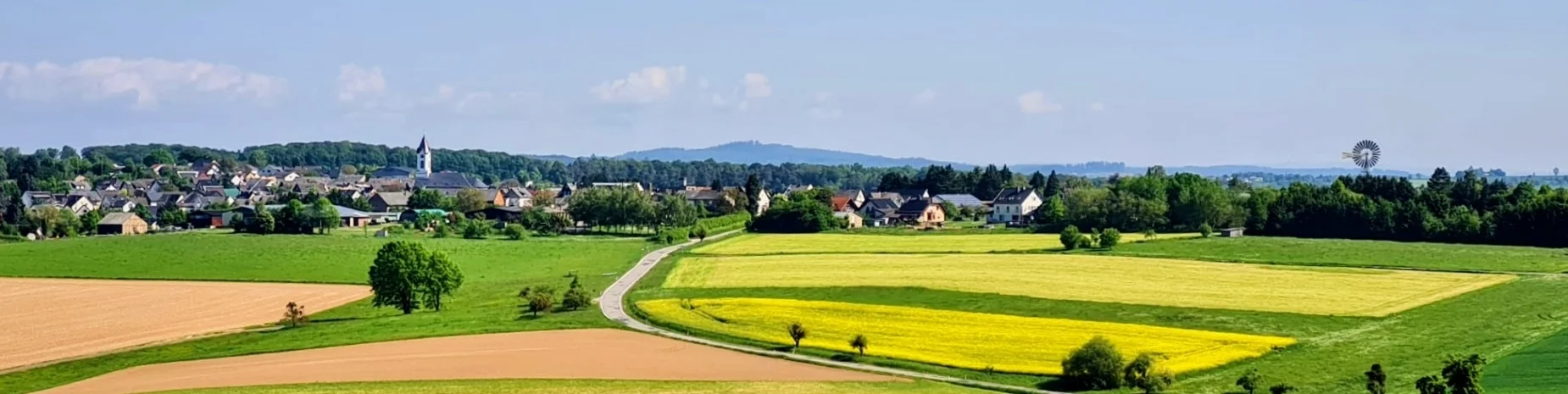 Bannerbild