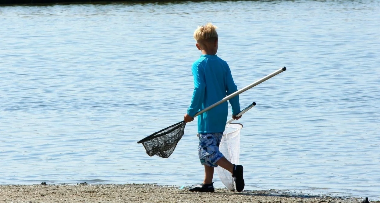 Bannerbild