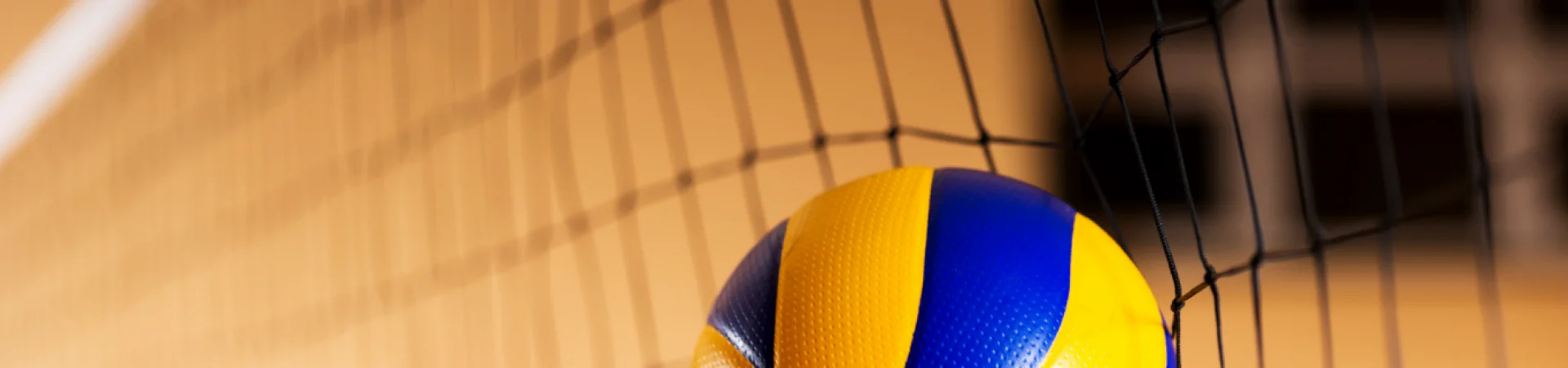Bannerbild
