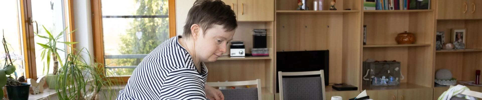 Bannerbild