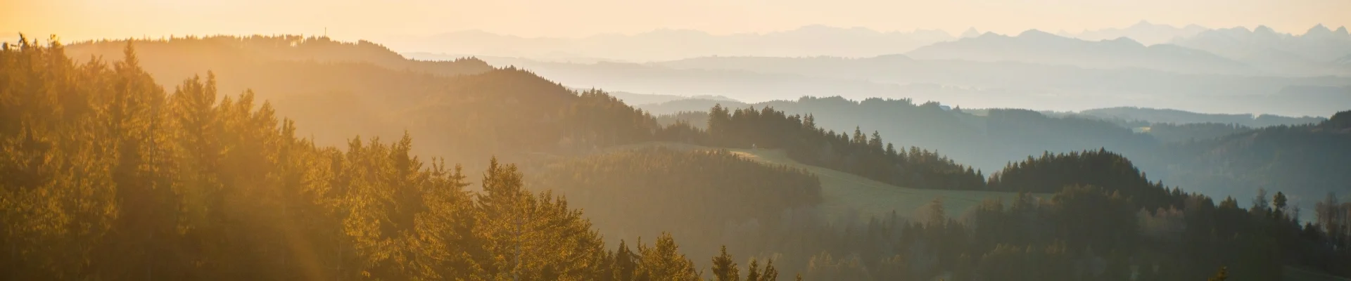 Bannerbild