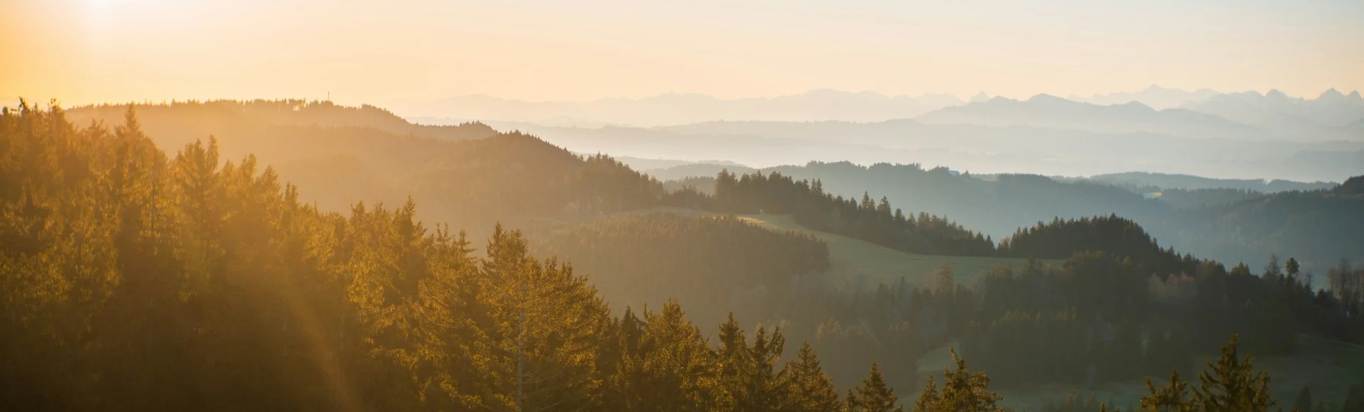 Bannerbild