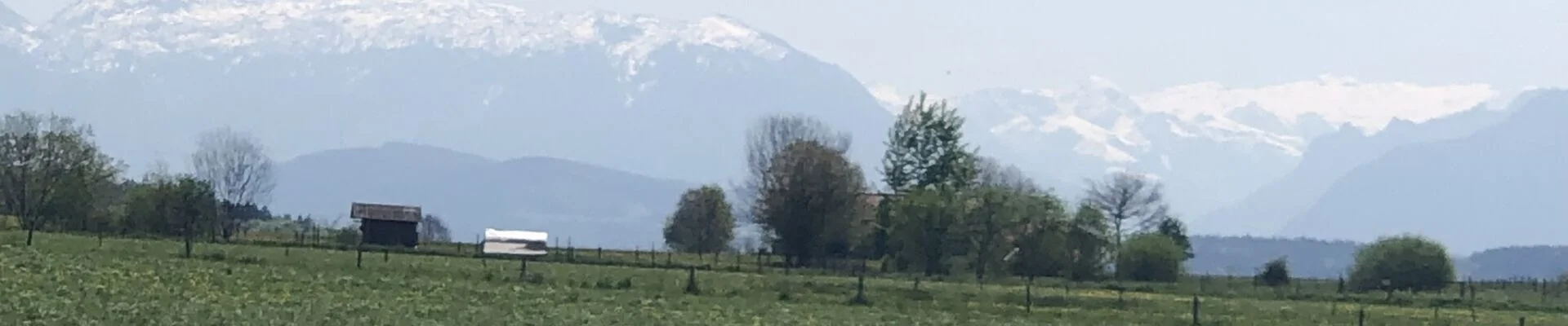 Bannerbild