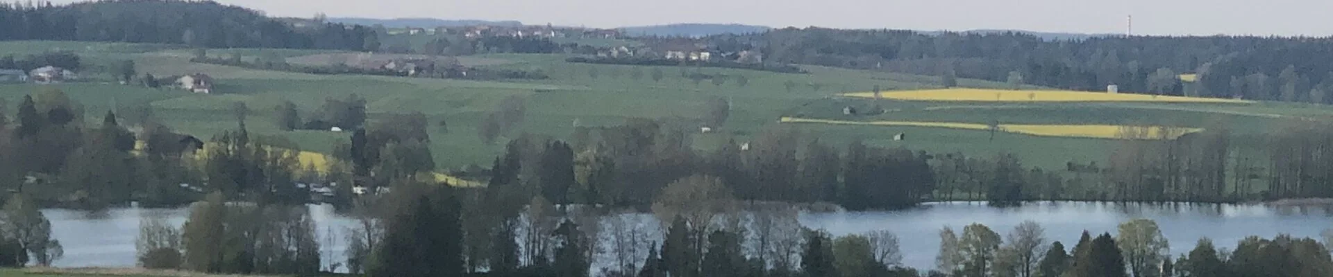 Bannerbild