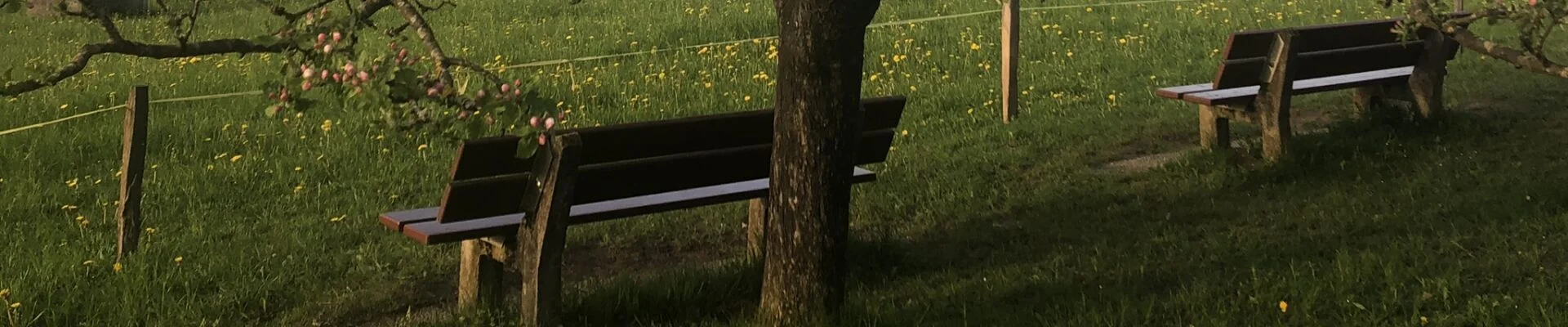 Bannerbild