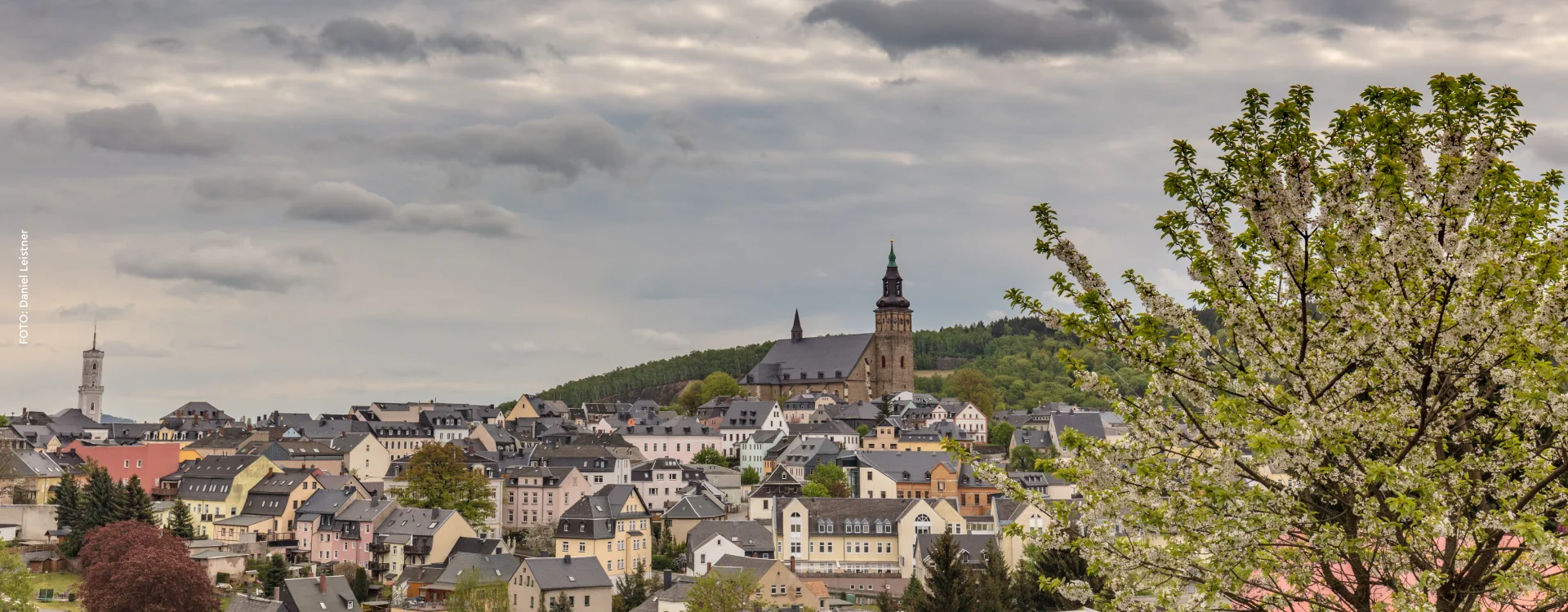 Bannerbild | zur Startseite