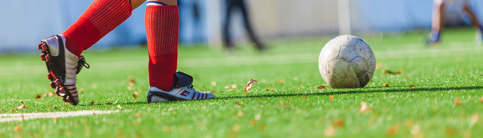 Bannerbild