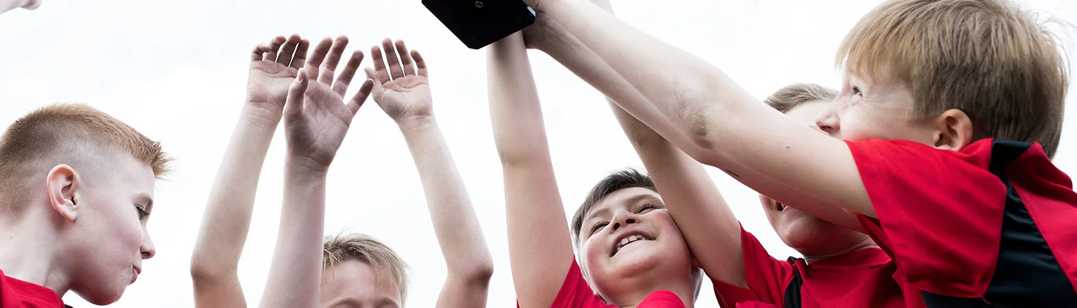 Bannerbild