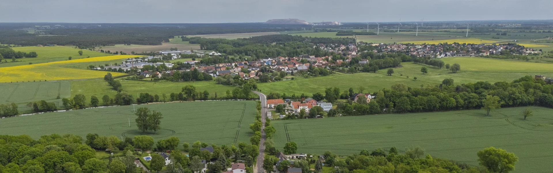 Bannerbild