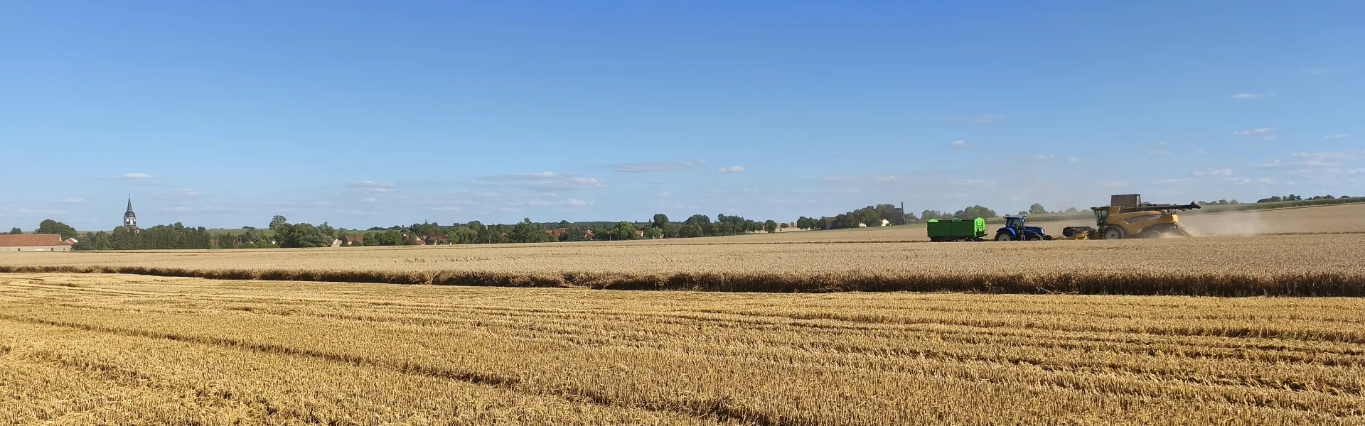 Ernte Ebersbach juli 2026 | zur Startseite