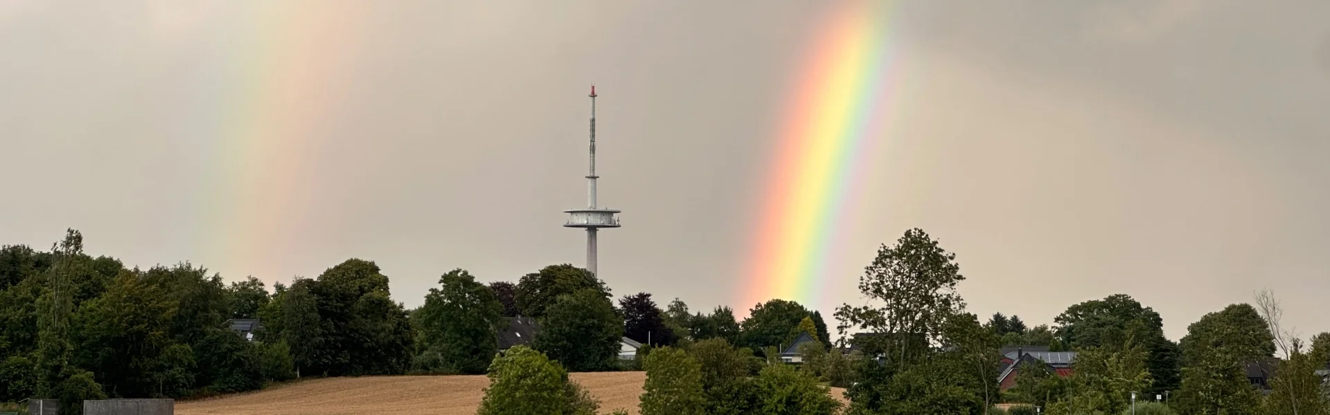 Bannerbild | zur Startseite