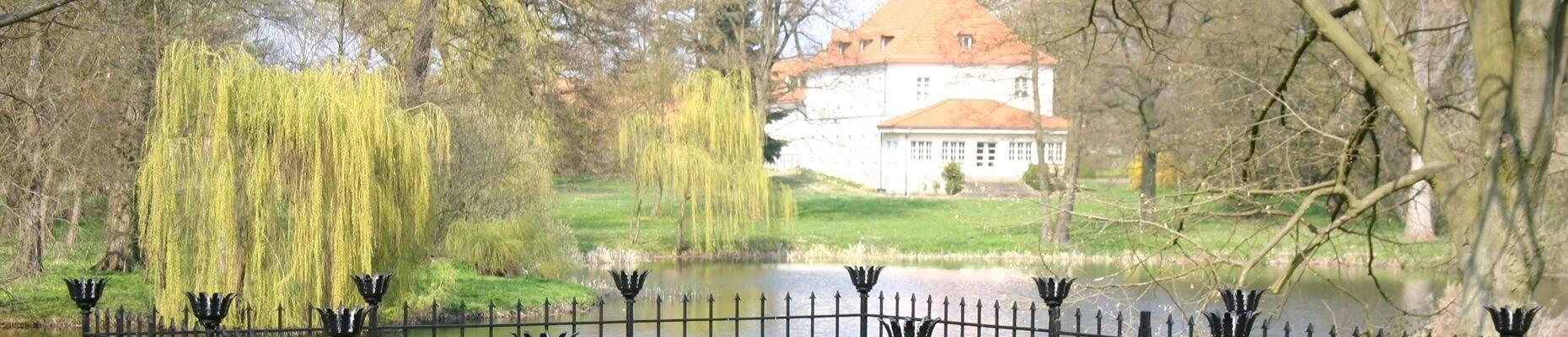 Bannerbild
