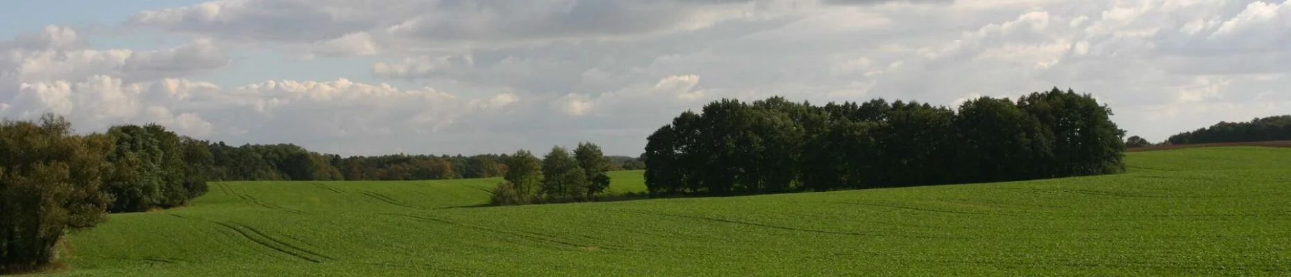 Bannerbild