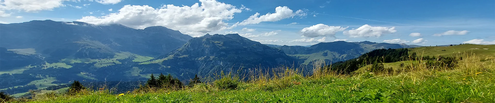 Bannerbild